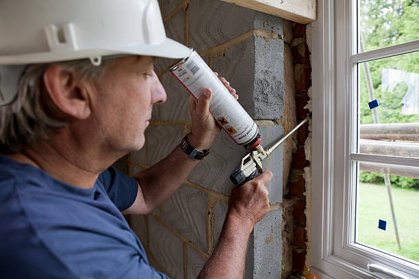 Best Insulation Air Sealing  in Wallburg, NC